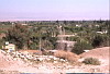 Jericho view