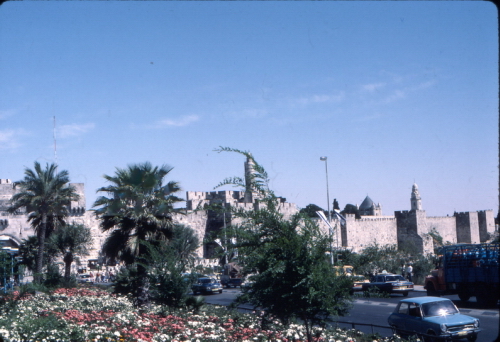 Gardens near Jaffa Gate