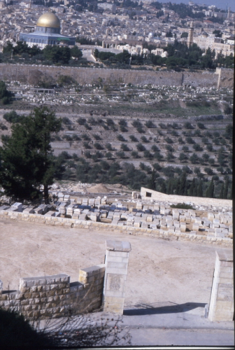 Temple Mount from Mt Olives