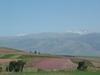 Views to Mt Hermon