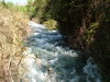 Fast flowing Dan River