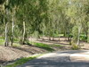Park and picnic area