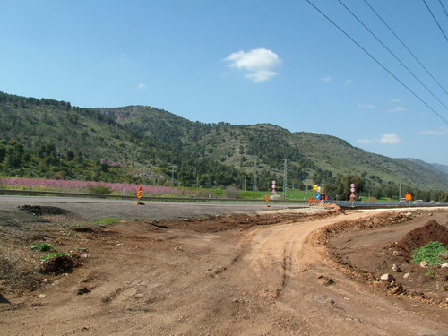 Road construction and blossom