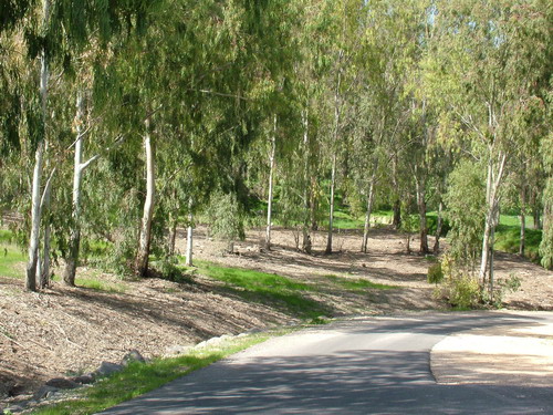 Park and picnic area