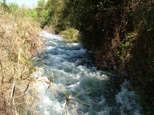 Fast flowing Dan River
