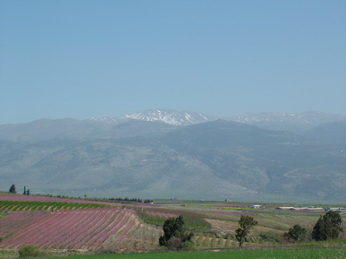 Views to Mt Hermon