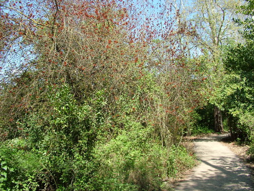 Along the trail